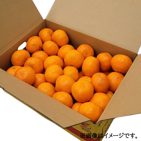 和歌山県産 有田みかん S-L 5kg箱 商品画像(2)